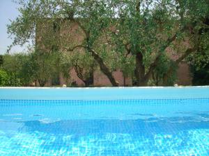 una piscina blu con alberi sullo sfondo di Tenuta Fagnani a Lucca