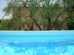 a blue swimming pool with trees in the background at Tenuta Fagnani in Lucca