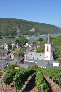 een klein stadje met een kerk en een bos van wijnstokken bij Hotel Gasthof Schuster und Gästehaus in Rüdesheim am Rhein