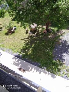Giardino di guest house kesa