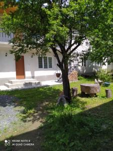 Giardino di guest house kesa