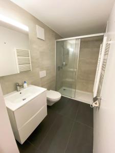 a bathroom with a toilet and a sink and a shower at Studio de luxe, au coeur de la vieille ville in Sion