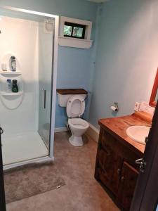 a bathroom with a shower and a toilet and a sink at Rusty Nail Backpackers in Taihape