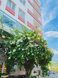 un gran arbusto de flores frente a un edificio en Sen Trang Hotel, en Lào Cai
