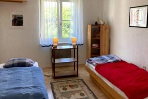 a bedroom with two beds and a window at Cozy Condo close to town, castle, lake and hiking in Wolfsberg