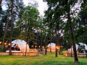 grupa namiotów na polu z drzewami w obiekcie Planeta Glamping w mieście Zalesie Górne