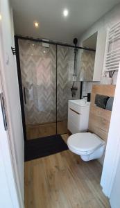 赫爾的住宿－Przystań Hel Apartament，一间带卫生间和淋浴的小浴室