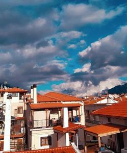 una vista de los tejados de los edificios con un cielo nublado en Apollon inn, en Arachova