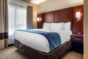 מיטה או מיטות בחדר ב-Comfort Suites Pell City I-20 exit 158