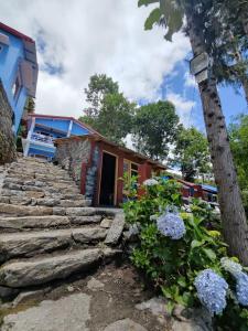 a house with stairs leading up to it at JAYANTI MOTHER NATURE HOMESTAY MUNSYARI in Munsyari +72 photos