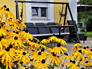 Ogród w obiekcie Villa Komposch - adults only