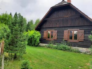 Chata Balówka في تشيسنا: منزل خشبي صغير مع ساحة خضراء