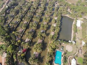an aerial view of palm trees and a pool at a resort at Resort Primo Bom Terra Verde in Baga
