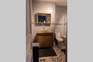 een badkamer met een wastafel, een toilet en een spiegel bij La mature in Fécamp +9 foto's