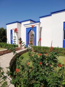 una casa con puertas azules y flores en el patio en Dar Yanis en Essaouira