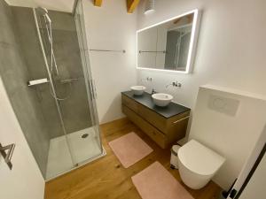 y baño con ducha, lavabo y aseo. en Moderne Dachwohnung Nähe Zermatt mit Balkon, en Täsch