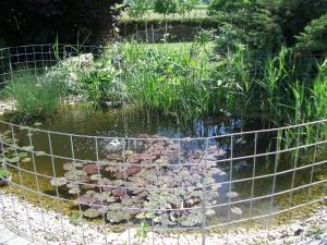 Gambar di galeri bagi Appartementhaus Panny di Bad Füssing