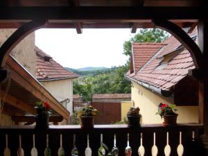 widok z balkonu domu z doniczkami w obiekcie Casa Lia w Sighișoarze
