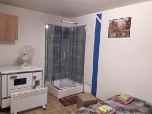 a bathroom with a shower and a bed in a room at Hostel Topić in Banja Luka