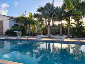 Fotografie z fotogalerie ubytování Tropical Paradise Villa in Torrevieja v destinaci Torrevieja