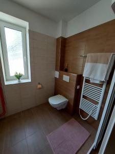 een badkamer met een toilet en een raam bij Apartmán Lipno s výhledem na jezero in Lipno nad Vltavou