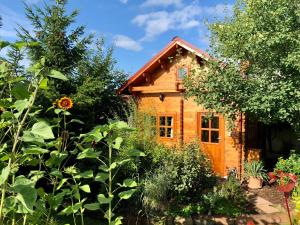 eine Holzhütte inmitten eines Gartens in der Unterkunft Ferienhaus Kleine Pfalz in Ranschbach