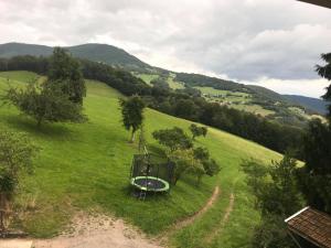 Galeriebild der Unterkunft hébergement du chêne in Fréland