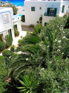 A garden outside Keros Art Hotel