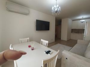 TV a/nebo společenská místnost v ubytování AVALON Apart-Hotel
