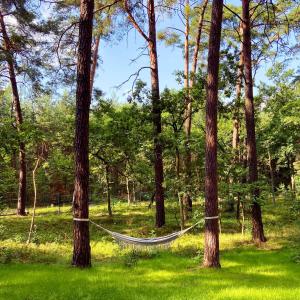 Gallery image of Planeta Glamping in Zalesie Górne