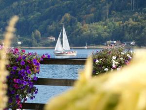 a sailboat on a lake with flowers and a boat at Haus Harmonie in Millstatt