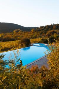 Agriturismo Il Serraglio内部或周边的泳池
