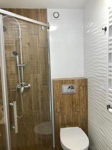 La salle de bains est pourvue d'une douche et de toilettes. dans l'établissement Apartamenty Chata u Rybaka, à Jantar