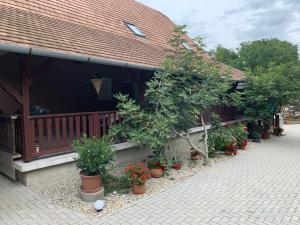 Aed väljaspool majutusasutust Bástya apartman