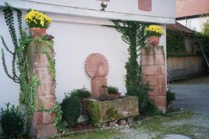 Zahrada ubytování TIPTOP Hotel Garni Pfauen