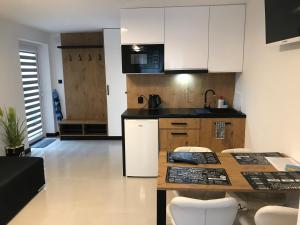Kuchyň nebo kuchyňský kout v ubytování Apartamenty Chata u Rybaka