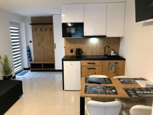 Kuchyň nebo kuchyňský kout v ubytování Apartamenty Chata u Rybaka