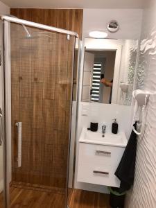 Koupelna v ubytování Apartamenty Chata u Rybaka + 37 fotografií
