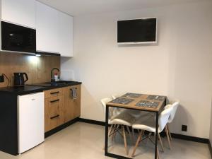 Kuchyň nebo kuchyňský kout v ubytování Apartamenty Chata u Rybaka