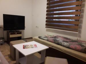 a living room with a couch and a table and a tv at Hostel Topić in Banja Luka