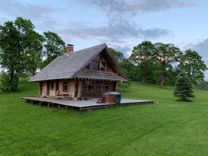 a log cabin sitting on a lush green field at Vucini in Andzeļi