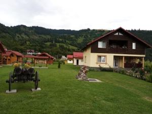 a house on a grass field with a house at Casa Prundari Nicu și Mirela in Poiana Teiului