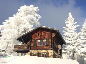 une cabane en rondins dans la neige dans l'établissement Chalet Balfrin Alpweg 9 Postfach 2038 Riederalp, à Riederalp