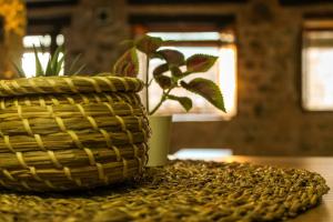 een mand op een tafel met een plant erin bij CALA VELLA Casa Vacacional RURAL in Bocairent