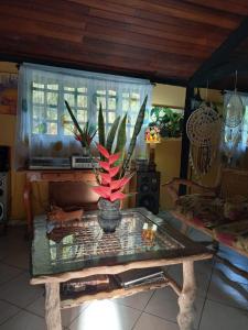a table with a potted plant on top of it at Repousada Sana in Sana