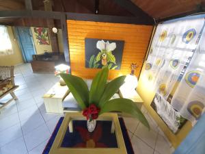 a plant in a vase on a table in a room at Repousada Sana in Sana