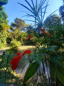a garden with red flowers and a palm tree at Repousada Sana in Sana