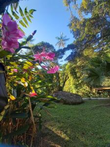 a bush with pink flowers in a garden at Repousada Sana in Sana
