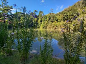 a pond in the middle of a garden at Repousada Sana in Sana