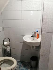 łazienka z umywalką i toaletą w obiekcie Freya w mieście Lesce
